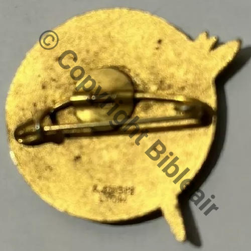 457e GMIT Gpt Moyens Instruct et Transmission (cf CUICH)  A.AUGIS LYON 2Lign Bol fenetre Dos lisse irreg Src.T.LECLERCQ 605Eur10.24 